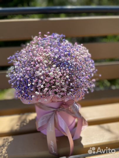 Гипсофила в коробке