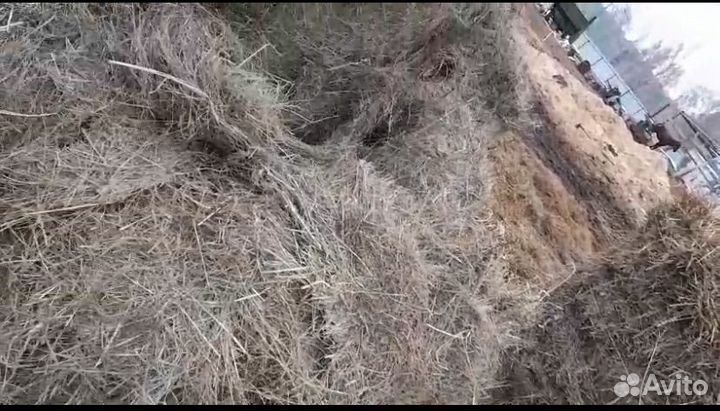Продам сено,солому