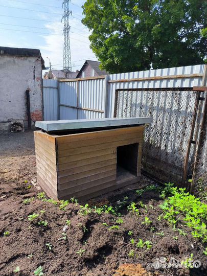 Собачья будка