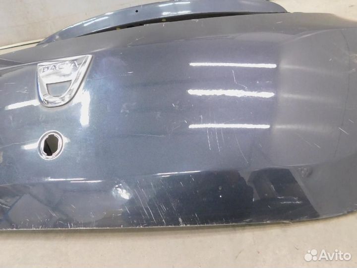 Дверь багажника Renault Sandero/Sandero Stepway