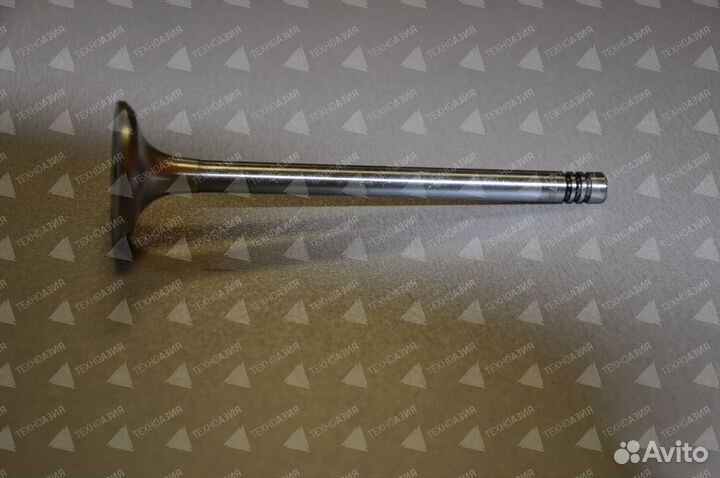 Клапан выпускной 4280049 двигателя Deutz BF4M2011