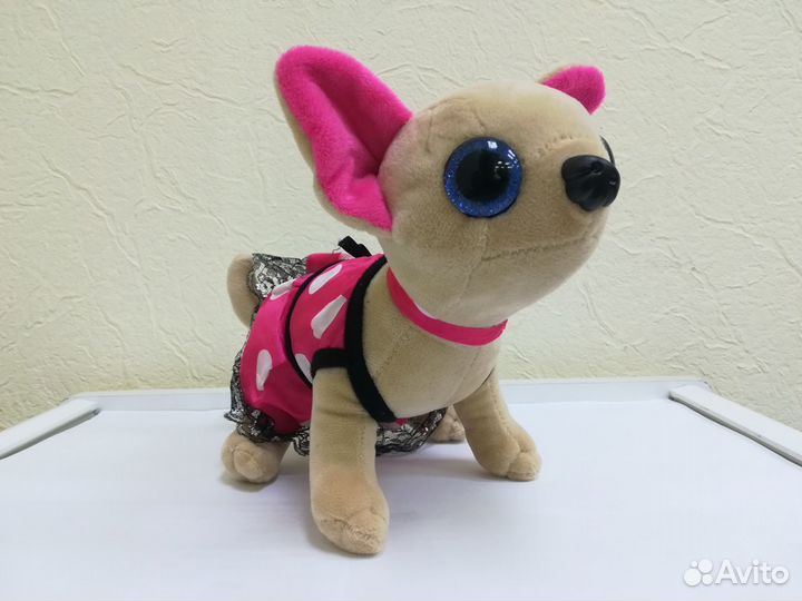 Чичи лав собачка, платье в горошек