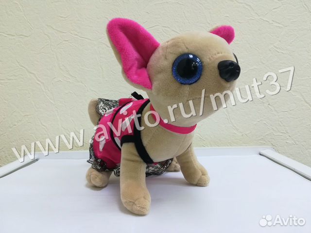 Чичи лав собачка, платье в горошек