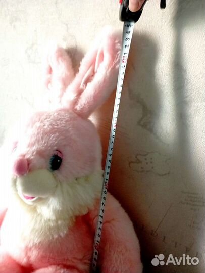 Заяц милашка