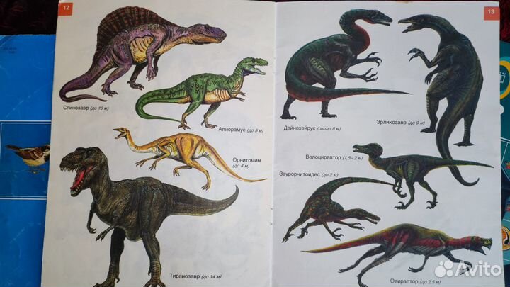 Серия тонких книг 