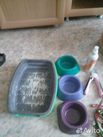 Все для кошек