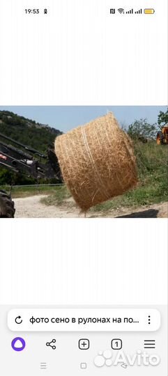 Продам сено в рулонах