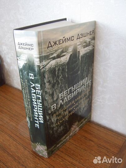 Бегущий в лабиринте