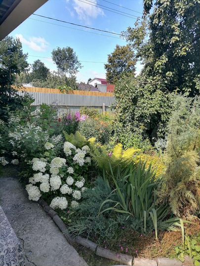 Дача 50 м² на участке 6 сот.