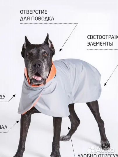 Дождевики для собак средних и крупных пород