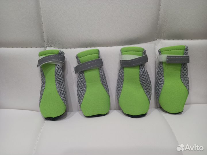 Одежда для собак