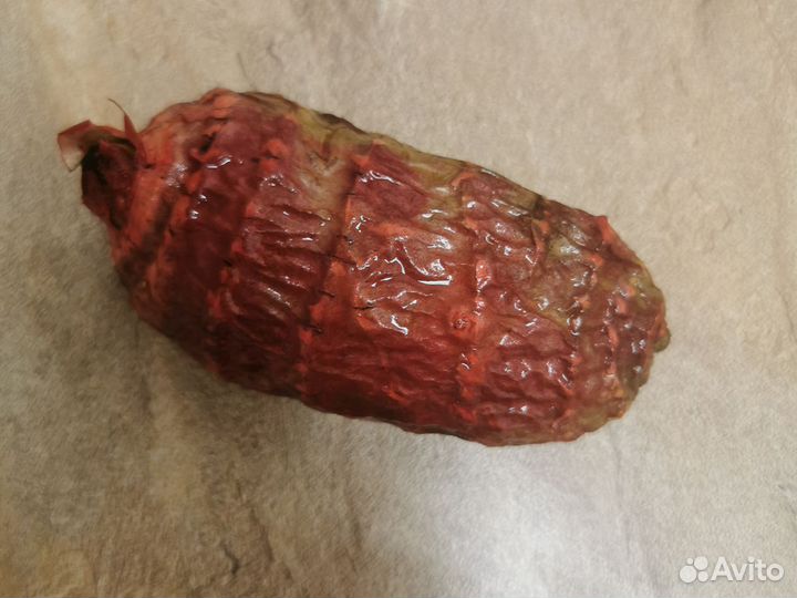 Корень женьшеня