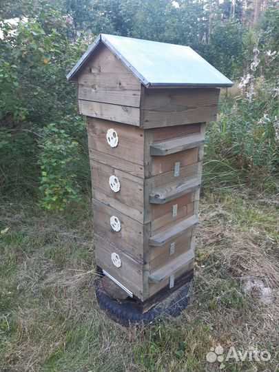 Улей для пчёл системы Варрэ