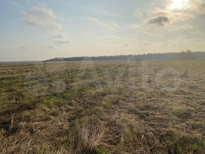 Участок 32,7 га (СНТ, ДНП)