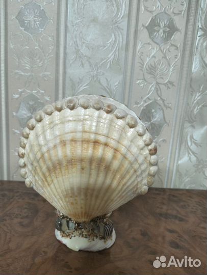 Подставка для салфеток из морских ракушек