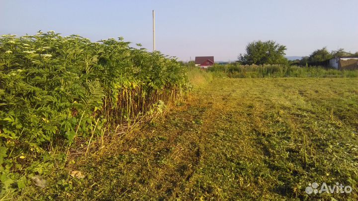 Расчистка, вспашка, покос