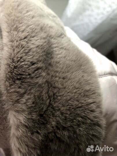 Пуховик la reine blanche 50