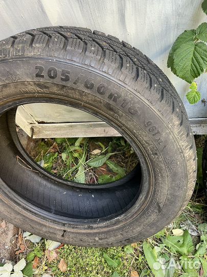 Brasa IceControl 205/60 R16 T