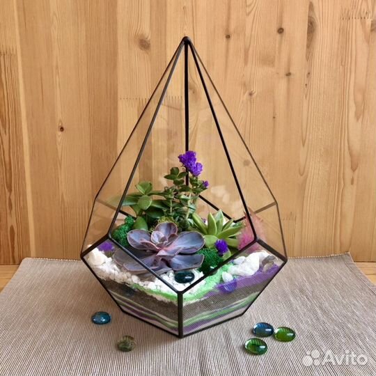 Флорариум капля (суккулент/кактус)