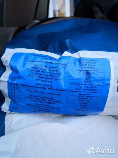 Семена подсолнечника и кукурузы