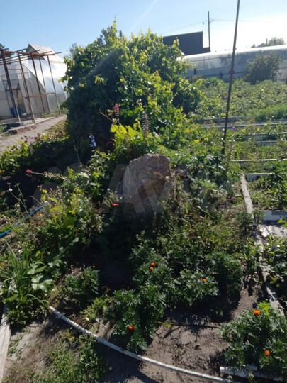 Участок 6 сот. (СНТ, ДНП)