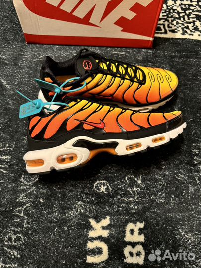 Nike Air Max Tn Plus