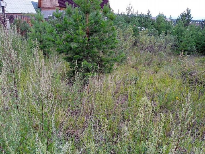 Участок 7,5 сот. (ИЖС)