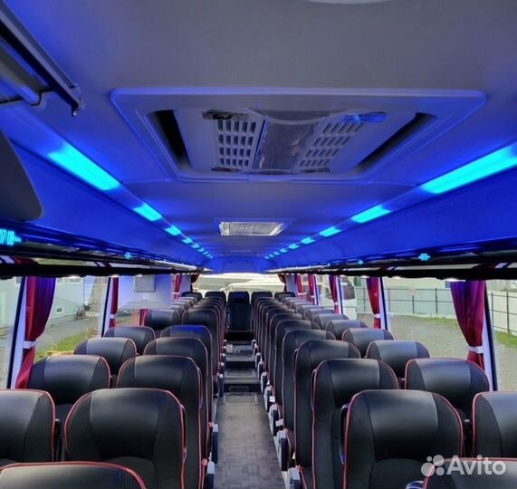 Заказ автобуса, микроавтобуса, перевозка детей