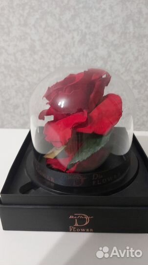 Роза в колбе будет радовать 5 лет Пр-во Дубай