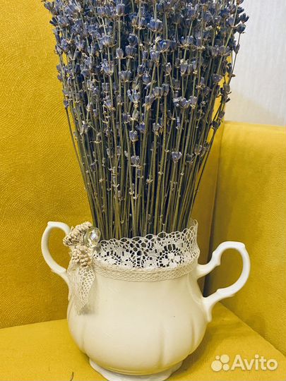 Лаванда в кашпо