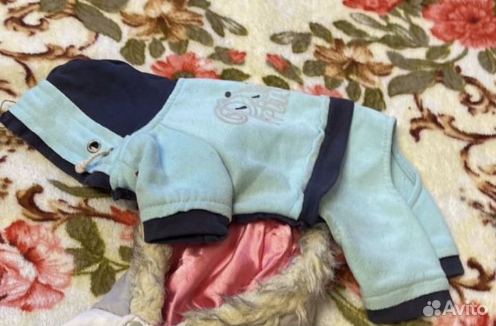 Одежда, обувь для маленькой собачки