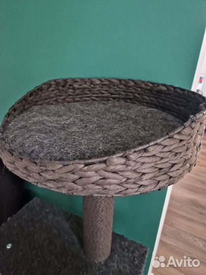 Домик когтедралка