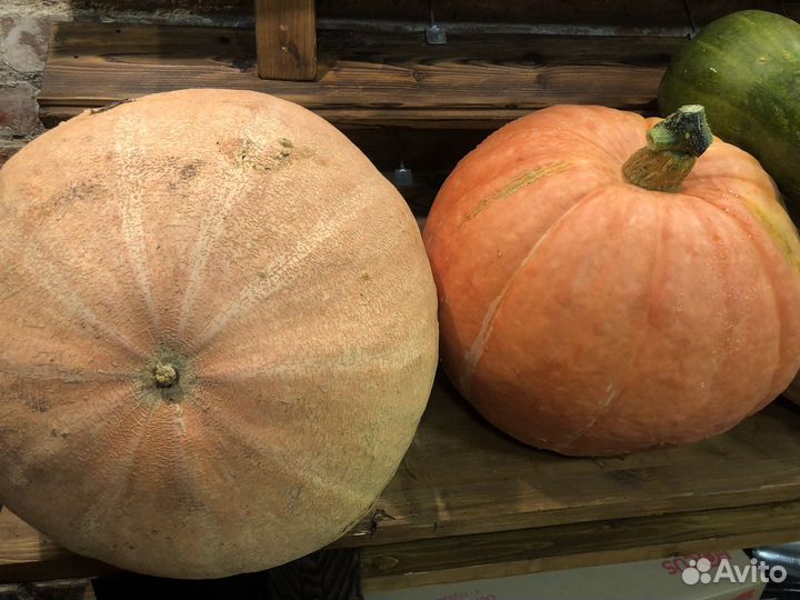 Тыква/кабачки