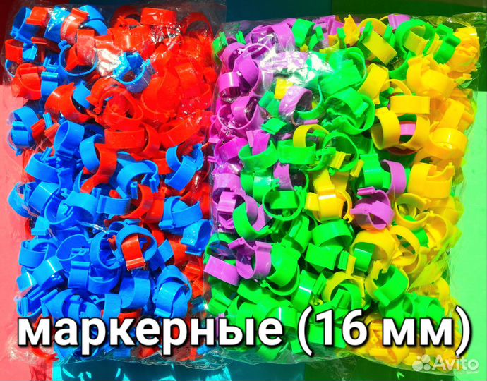 Голуби - Кольца маркерные для голубей и птиц