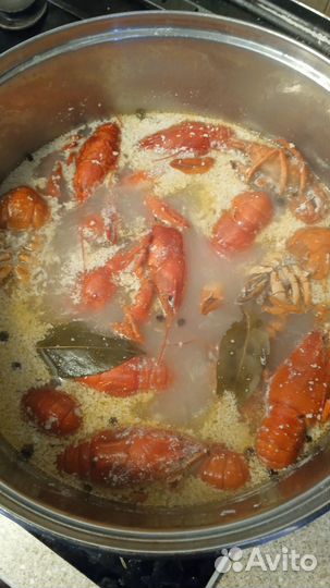 Живые и варёные раки Сотрудничество с рыбаками