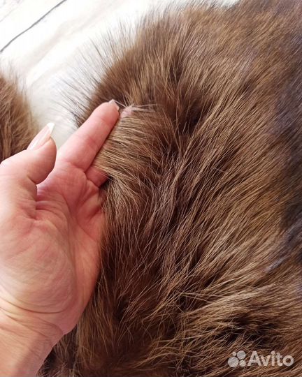 Меховой воротник енот