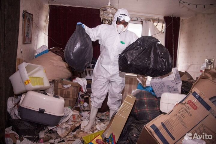 Барнаул Уничтожение Осы Тараканы Клопы Блохи Мыши