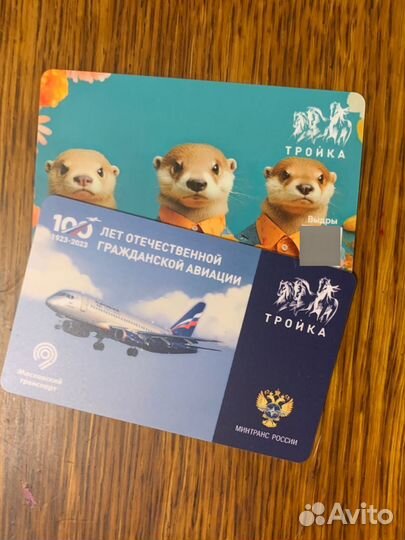 Тройка 100 лет авиации и Выдры Москвариум