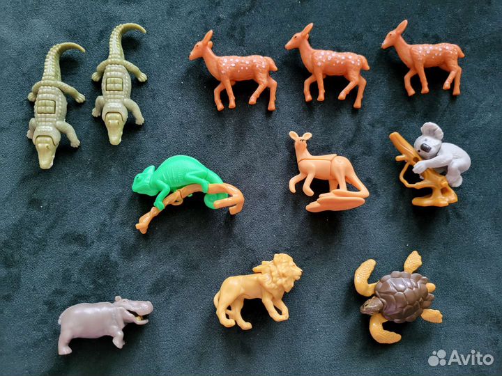 Киндер natoons