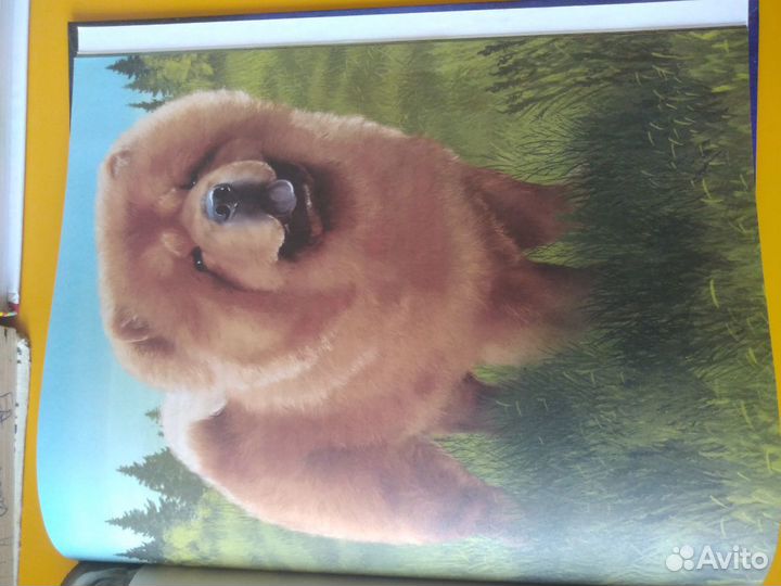 Книги для детей7штук