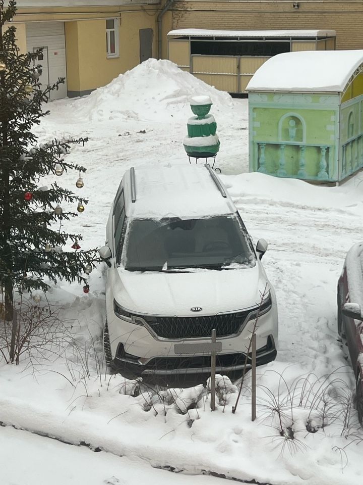 Kia Carnival: фото владельца