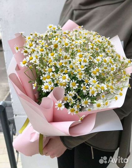 Цветы ромашки