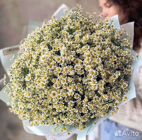Ромашки Букет из ромашек доставка