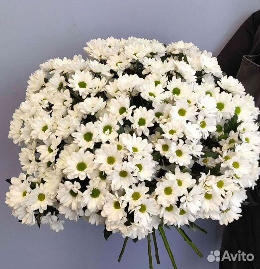 Хризантема Букеты доставка цветов
