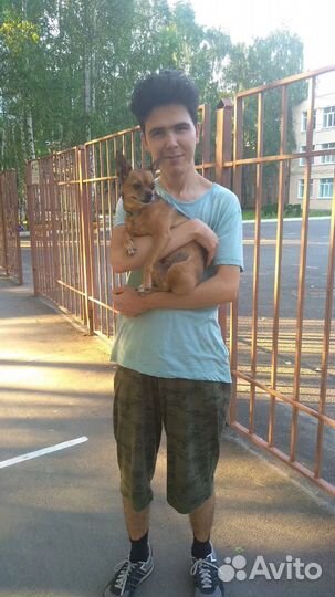 Слушатель друг на час/собеседник