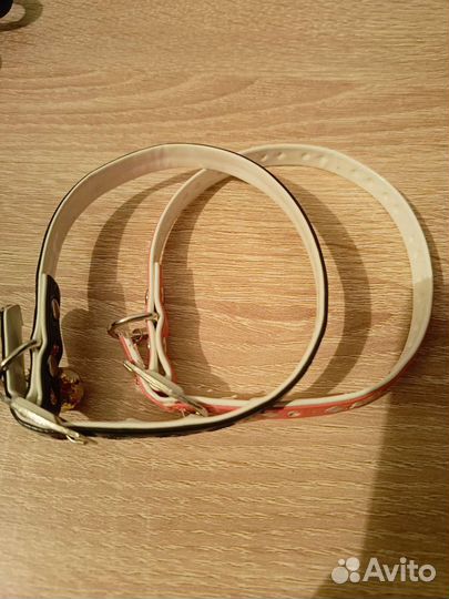 Ошейник для собак мелких пород