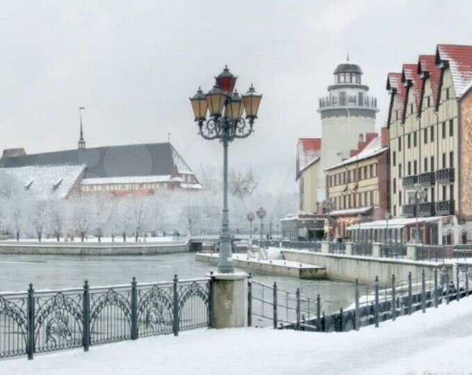 1-к. квартира, 59,1 м², 1/4 эт.