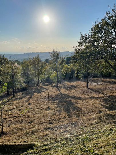 Участок 4,5 сот. (ИЖС)