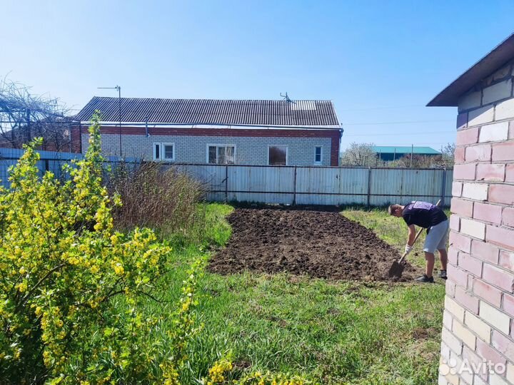 Покос травы / спил деревьев / муж на час