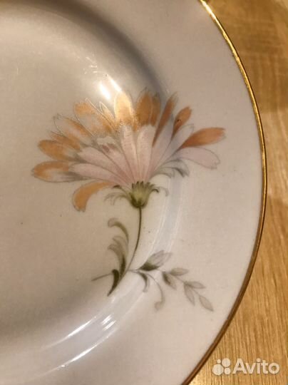 Богдановичи, хризантемы